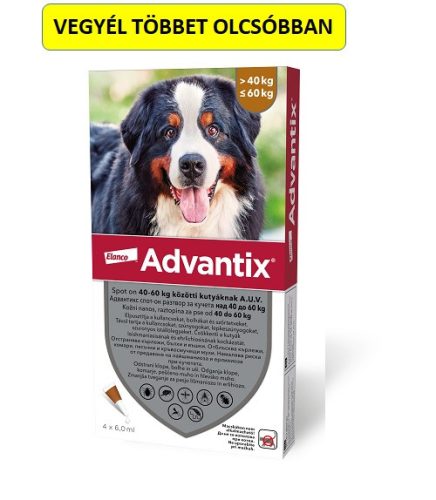 Advantix spot-on kutyákra (40-60kg kutyákra ) , 4db pipetta , illusztrációs fotó , macskákra tilos rakni .