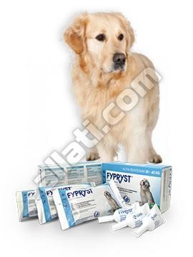 Fypryst  2,68 ml (20-40kg) kutya 1 pipetta Termék szavatosság : 2024.12.30