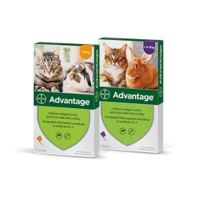   Bayer Advantage 40 spot on oldat 4 db ampulla  A fotó illusztráció , cicára és nyuszira