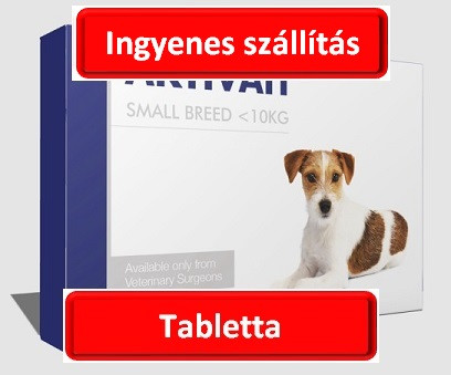Aktivait small breed kutya kapszula 60 db ( Macskának tilos adni a kutyának való terméket )